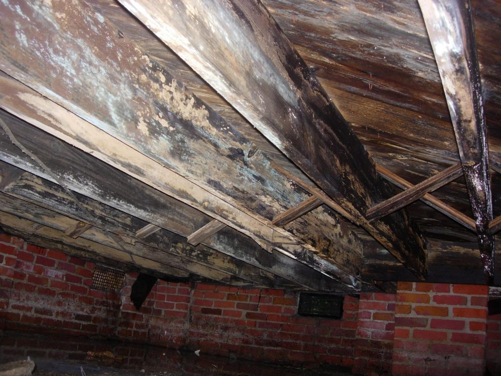 Crawl Space Problem RLC Engineering Leicester NC